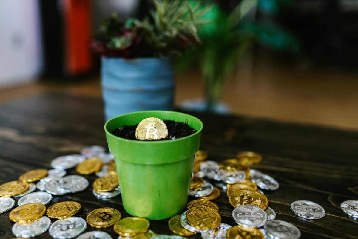 Bitcoin coin in a green pot surrounded by crypto coins on a wooden table.